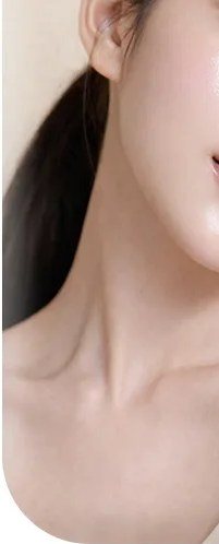 여성 목선 및 쇄골 라인 사진